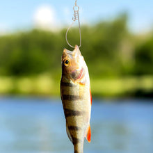 Load image into Gallery viewer, Fishing Stringer, 5Pcs Stainless Steel Fishing Stringer Heavy Duty Fish Wire Rope Lock Fishing Stringer Clip Fish Lock Cable for Outdoor Fishing Fish Stringer